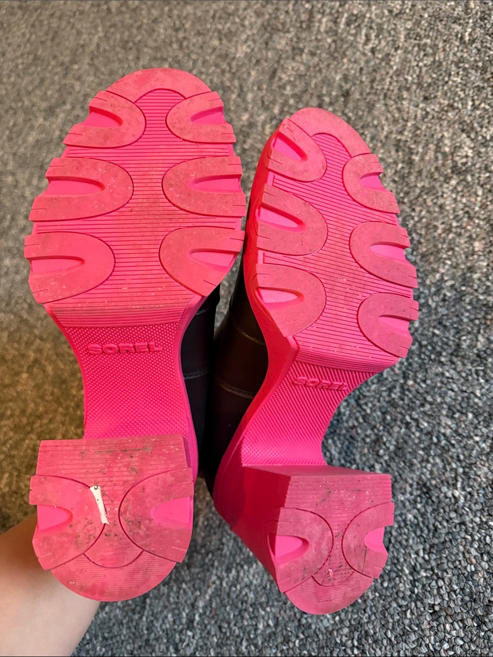Sorel Black Chelsea Boots with Pink Chunky Heel - Picture 8 of 8